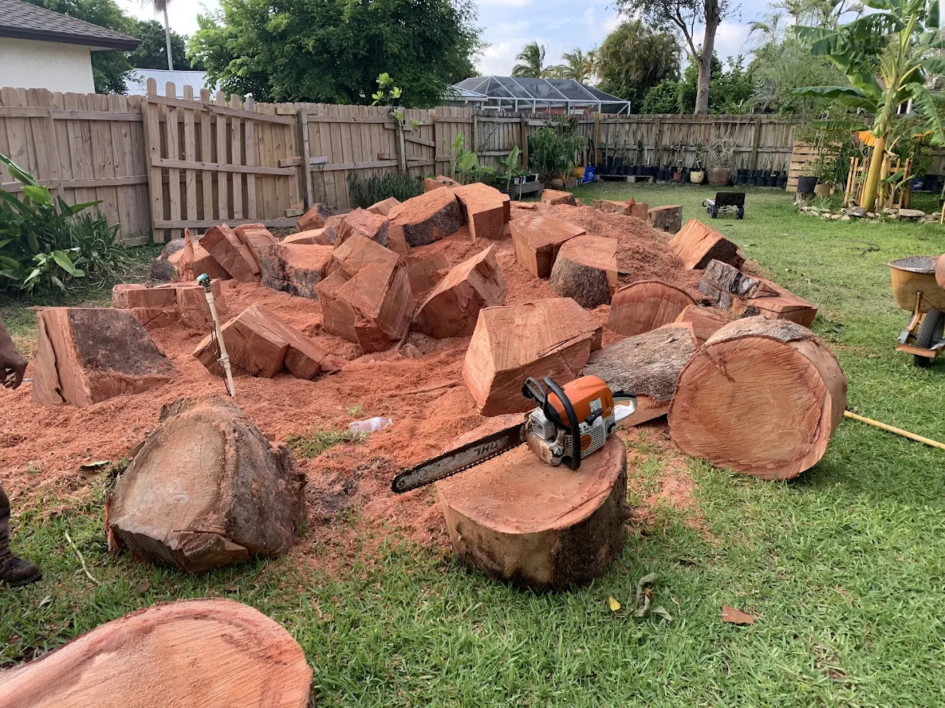 Tree Removal